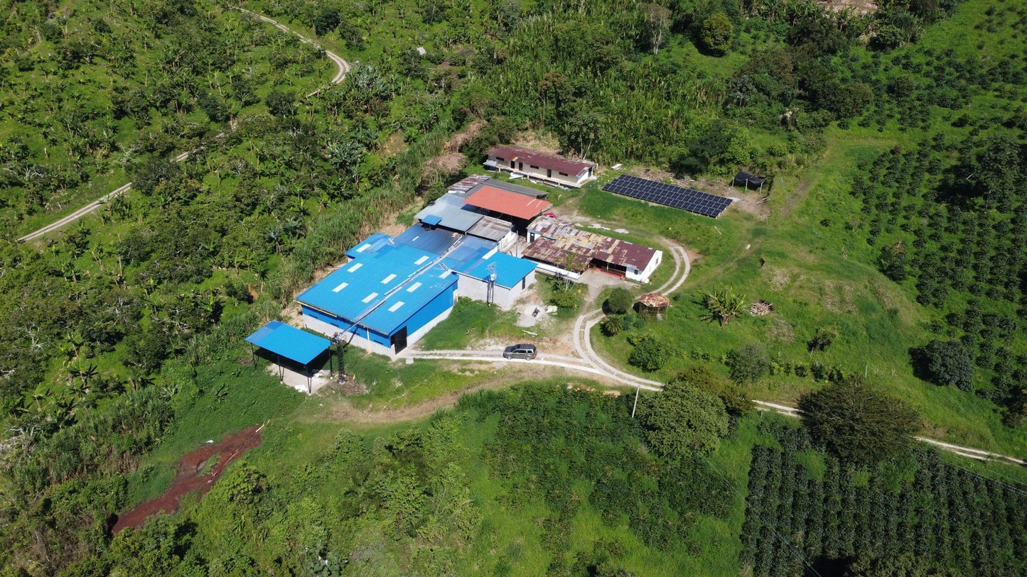 COLOMBIA | EL VERGEL *SPECIAL RELEASE*