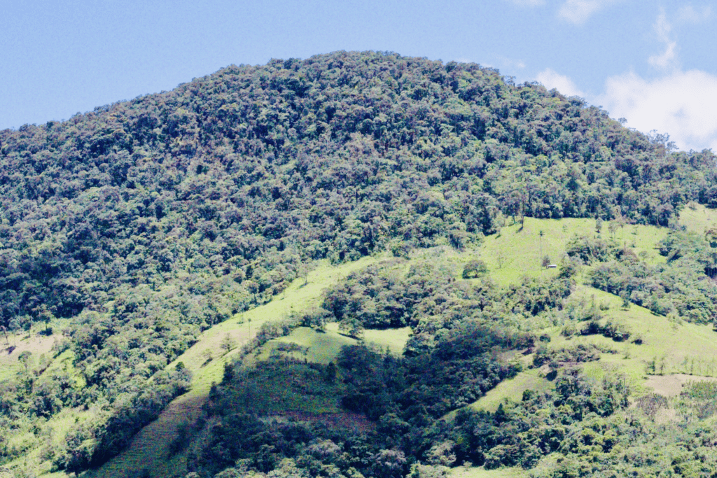 PERU | LA CHIRIMOYA